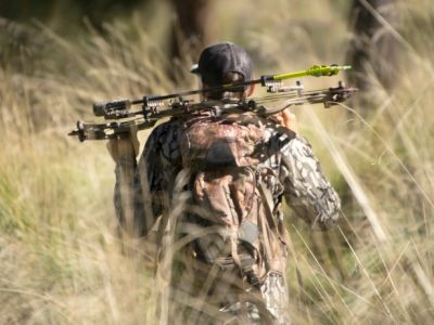 Bonne nouvelle pour les jeunes chasseurs à l’arc en Hongrie !