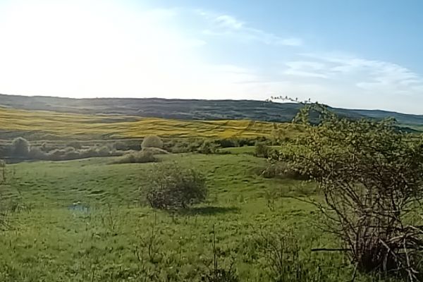 20220430191717.jpg