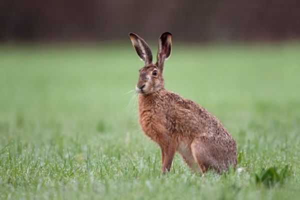 adobestock100230347-e1540908579468.jpeg