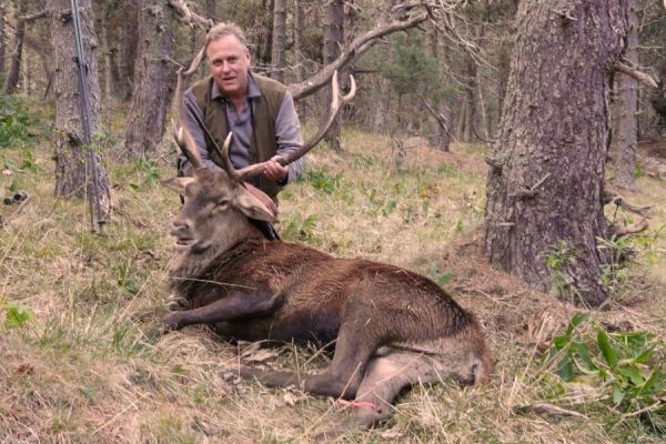 cerf-francia8.jpeg