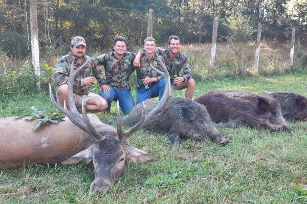 cerf-roumanie18-e1557385706796.jpg