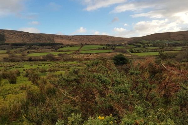 Ireland