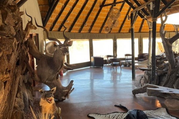 lodge-namibie-2.jpg