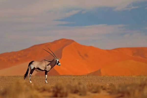 Namibia