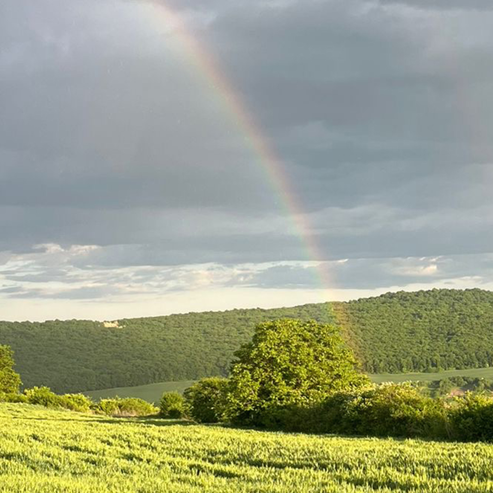 Christian, France